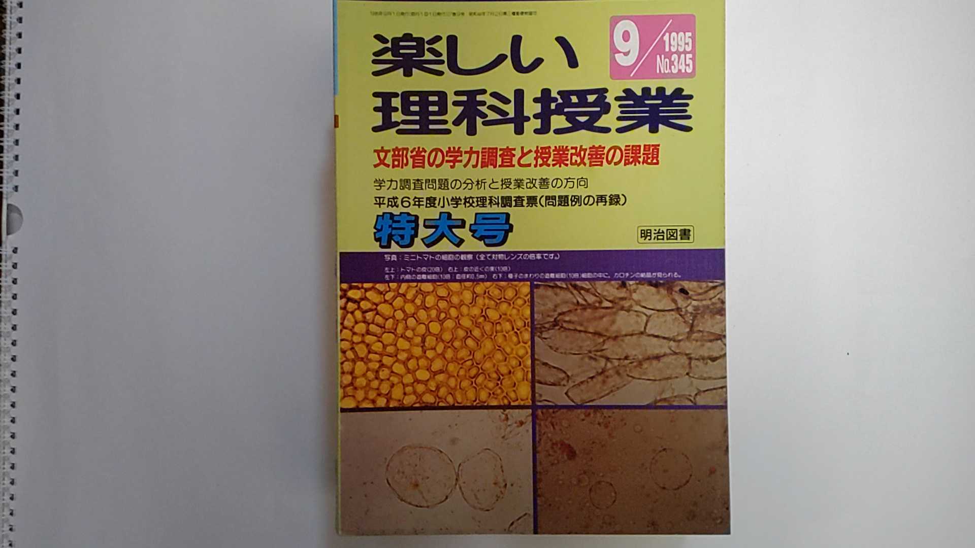 【1995年9月号】状態は「可」の商品です。商品には（三方に焼け・しみ、等）がありますが本文は綺麗です。★ご注文後、商品クリーニングを行い、クリスタルパック・封筒で梱包し、ゆうメール便にて発送致します◆コンディションガイドラインに準じて出品を行っておりますが、万一商品情報と異なる場合は、迅速に対応致します◆併売商品の為、売り切れの際は早急に注文キャンセルにて対応させて頂きます。あらかじめご了承ください