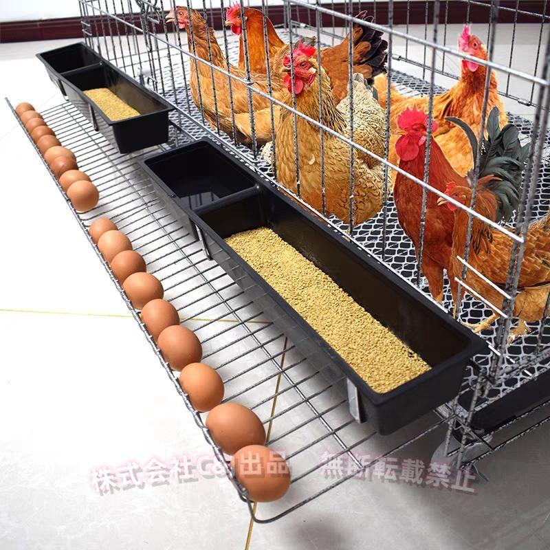 乐天商城 - 鶏小屋チキンケージ飼育ケージ特大世帯折りたたみ鶏小屋自動エッグロールケージトレー、（株）C&J 水槽、フードボウル付き複数のサイズ。