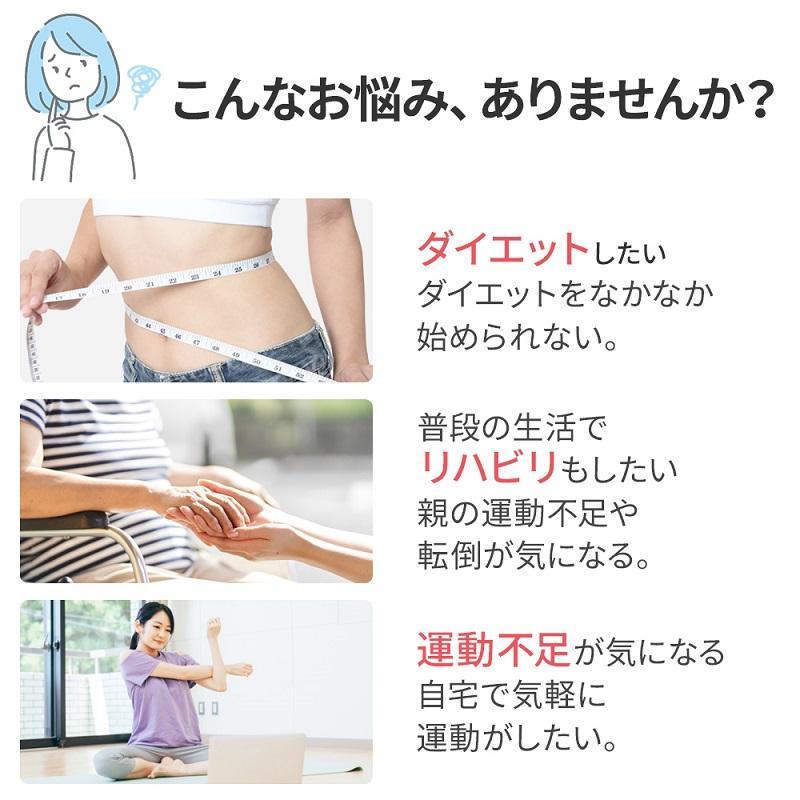 エアロバイク 家庭用 ルームバイク フィットネスバイク トレーニングバイク 静音 ...