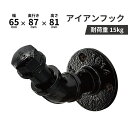 フック アイアン ガス管 つやあり 壁掛け ウォールフック おしゃれ DIY 黒 ブラック INK-0801241H