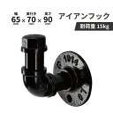 フック アイアン ガス管 つやあり 壁掛け ウォールフック おしゃれ DIY 黒 ブラック INK-0801244H