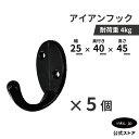 【5個セット】フック 壁掛け ウォールフック おしゃれ シンプル DIY アンティーク風 黒 ブラック INK-0801258H