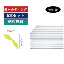 モールディング 5本セット 廻り縁 おしゃれ おすすめ 内装材 外装材 装飾材 デコモール インテリア デザイン 賃貸 寸法 2.4 diy リフォーム リノベ...