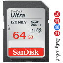 ■4/14 20:00-4/17 09:59 全品ポイント10倍■64GB SDXCカード SDカード SanDisk サンディスク 100MB/s Ultra CLASS10 SDSDUNC-064G-GN6IN 海外パッケージ品