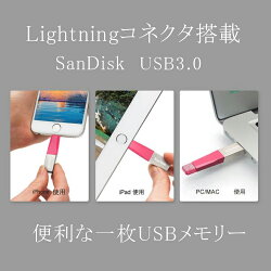 128GBSanDiskサンディスクiXpandMiniフラッシュドライブLightningコネクタ搭載USB3.0USBメモリー海外リテールSDIX40N-128G-PN6NESDIX40N-128G-GN6NDSDIX40N-128G-GN6NG