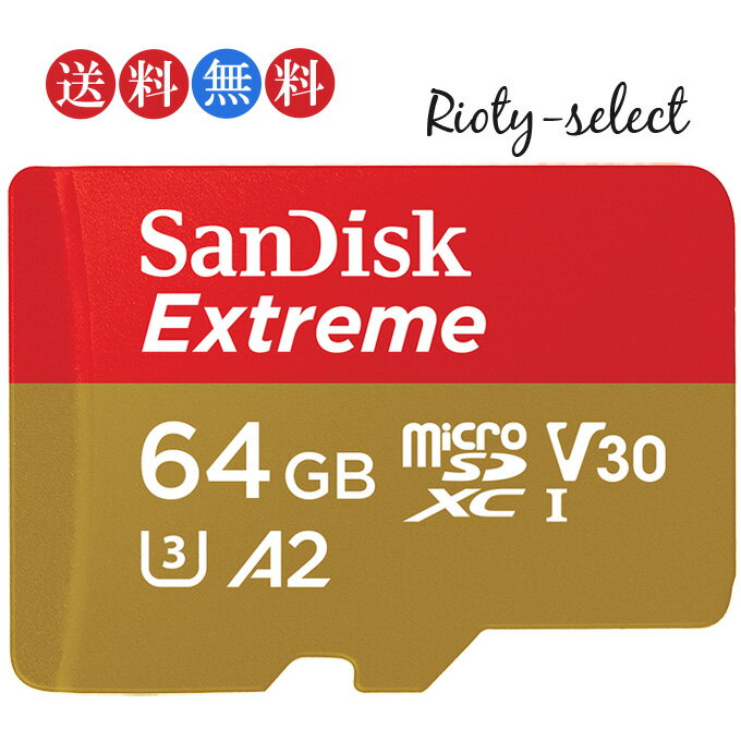 64GB microSDXCカード マイクロSD SanDisk サンディスク Extreme UHS-I A2 U3 V30 R:170MB/s W:80MB/s Nintendo Switch動作確認済 海外パッケージ品 SDSQXAH-064G