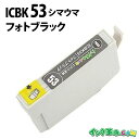 ICBK53 (フォトブラック) IC53 エプソン EPSON用 互換 インクカートリッジPX-G5300用【インク革命】