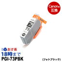 PGI-73PBK （フォトブラック） PGI-73 キヤノン Canon PIXUS-PRO-10 PIXUS-PRO-10S カートリッジ互換 インク ICチップ 互換インク【インク革命】