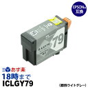 ICLGY79 (顔料ライトグレー) IC79 EPSON エプソン 互換 インクカートリッジ