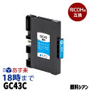Ψ0.1%̤ۥꥳ GC43C  ꥳ ߴ :GC43C :RICOH-SG-3300 RICOH-SG-2300 ڥ󥯳̿