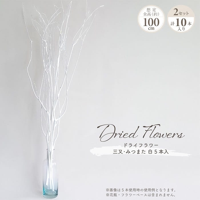 ドライフラワー 三又・みつまた 白 5本×2セット 計10本入り 全長約100cm 大地農園 ホワイト 枝物 枝もの ナチュラル 天然素材 自然素材 ドライ素材 インテリアグリーン 観葉植物 フラワーアレンジメント ディスプレイ お洒落 おしゃれ インテリア