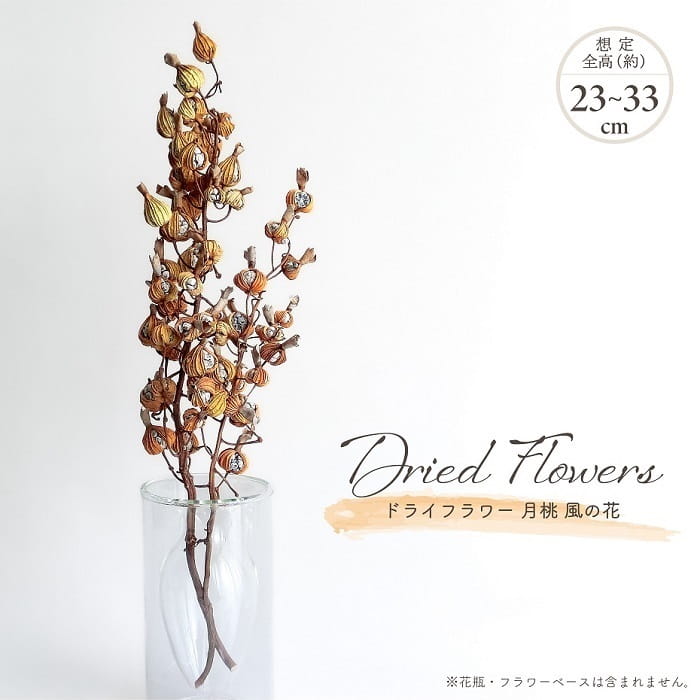 月桃のドライフラワー　夜光貝の花器付き　 枝物 インテリア 楽天市場】月桃 ドライフラワー（花・ガーデン・DIY）の通販