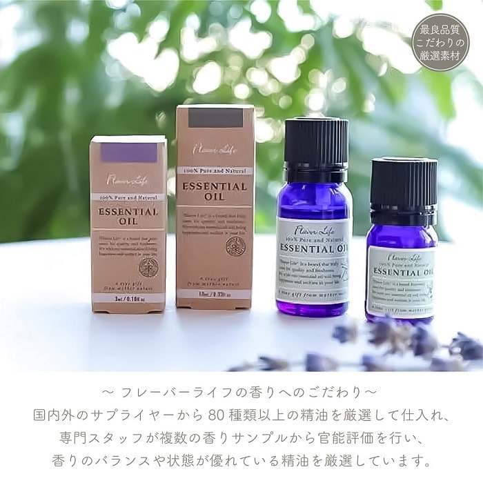������ ���� �ե졼�С��饤�� ���å��󥷥�륪���� ��٥�������ե�� 10ml ŷ������100�� �����ե�� �������αˡ �ե������� �ϡ���Ĵ �����ޥ����� �ե쥰��� �����ޥƥ�ԡ� �ҡ���� �ü��� �ǥ��ե塼���� �����ޥ��ץ졼