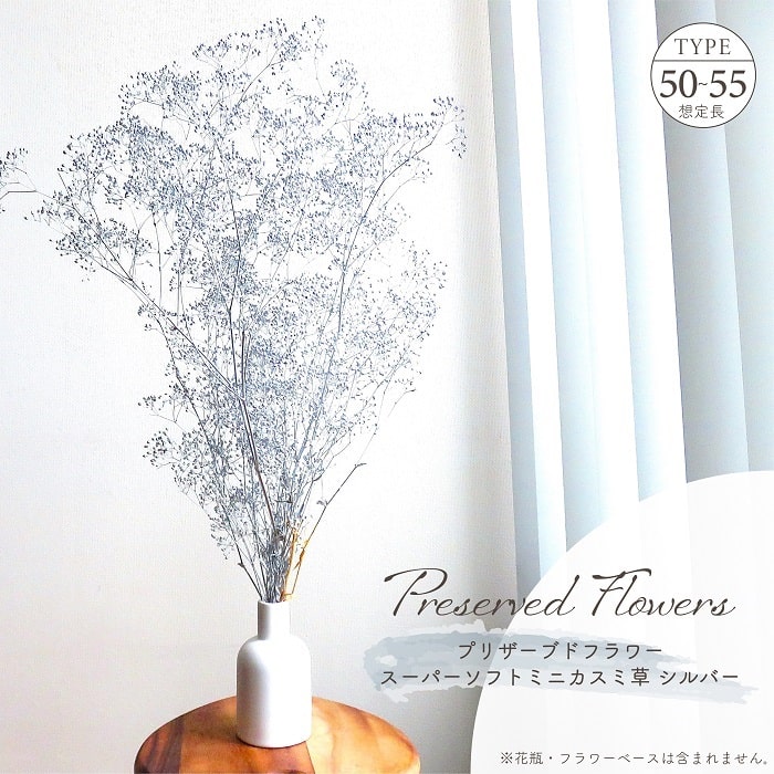 ドライフラワー プリザーブドフラワー スーパーソフトミニカスミ草 シルバー 全長約50～55cm かすみ草 ..