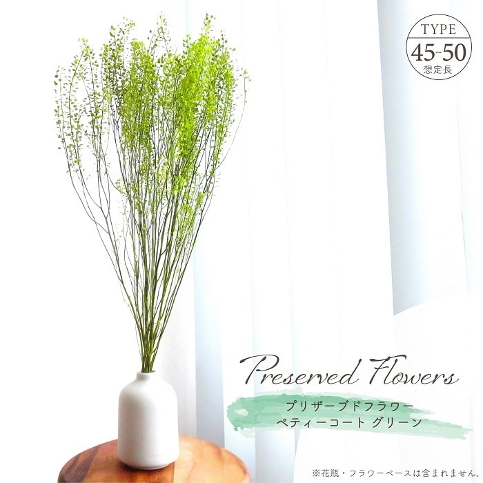 ドライフラワー プリザーブドフラワー ペティーコート グリーン 全長約45〜50cm 緑 天然素材 大地農園 アレンジ材 インテリア