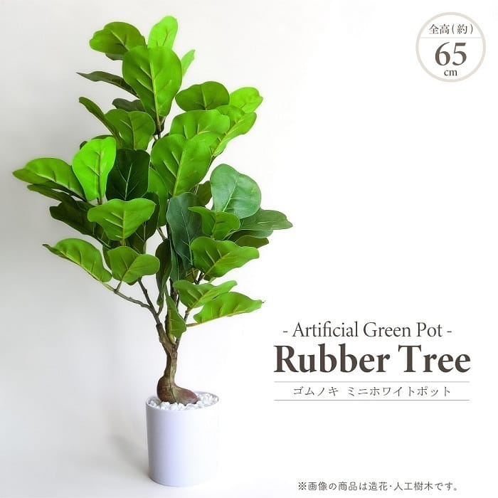 人工観葉植物 アーティフィシャルグリーン ゴムノキ ミニホワイトポット 高65cm ミニツリー 白プラ鉢 造花 フェイクグリーン インテリアグリーン 鉢物 観葉植物 贈り物 ギフト おしゃれ インテリア