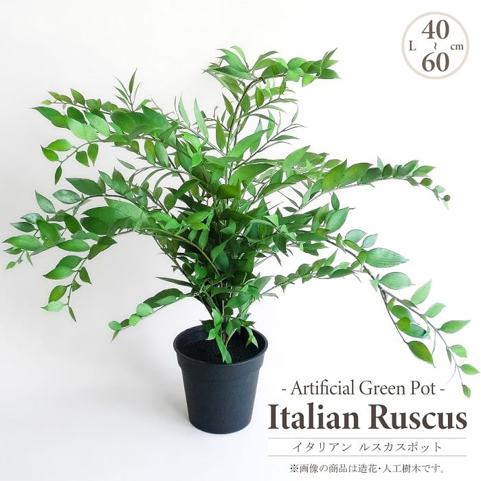 人工観葉植物 アーティフィシャルグリーン イタリアン ルスカスポット 高45-60cm ミニツリー 黒プラ鉢 4号相当鉢 造花 フェイクグリーン インテリアグリーン 鉢物 観葉植物 贈り物 インテリア