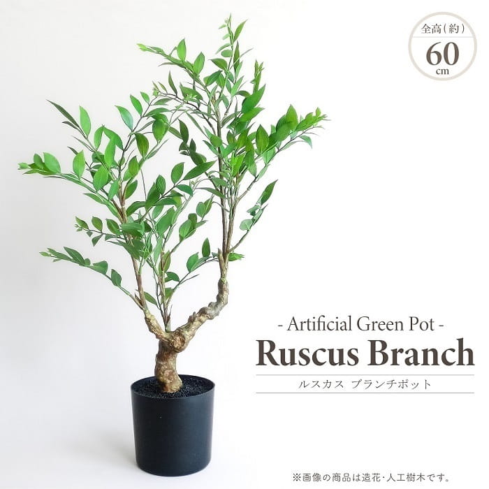 人工観葉植物 アーティフィシャルグリーン ルスカス ブランチポット 高60cm ミニツリー 黒プラ鉢 4.5号相当鉢 造花 フェイクグリーン インテリアグリーン 鉢物 観葉植物 贈り物 ギフト おしゃれ インテリア