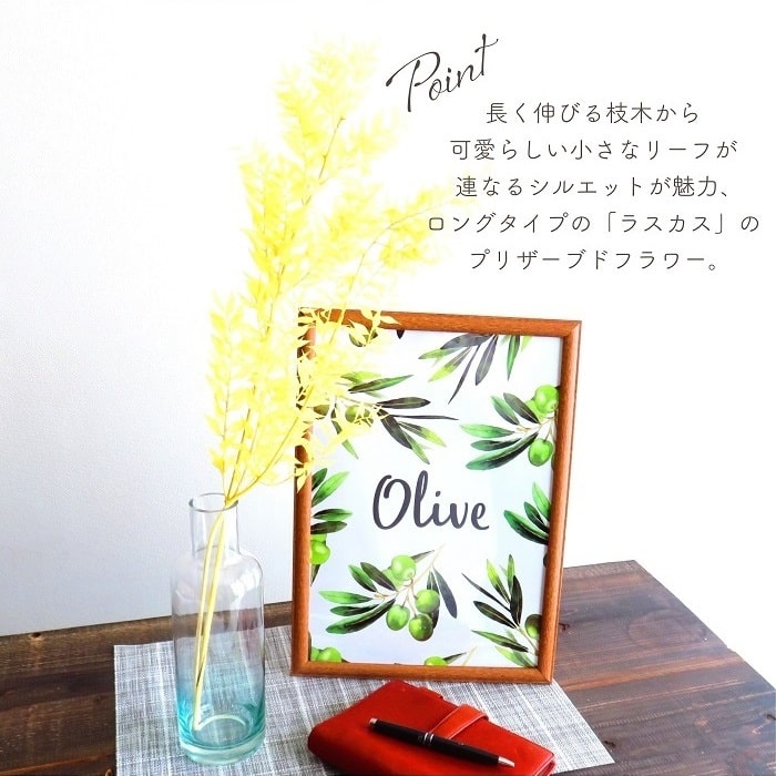 ドライフラワー プリザーブドフラワー ソフトラスカス レモンクリーム 25g入 約L50...