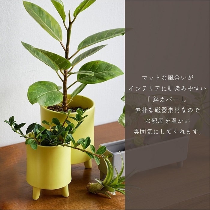 鉢カバー プランターカバー shesay シセイ 磁器製プラントカバー S ココヤシファイ...