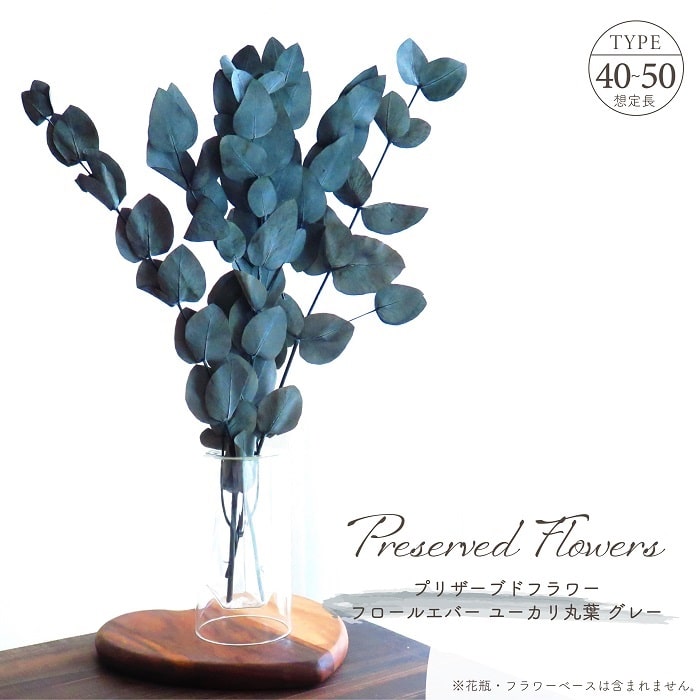 ドライフラワー プリザーブドフラワー ユーカリ 丸葉 約45g入 約L40～50cm 天然素材 リーフ 葉物 枝物 花材 アレンジメント グレー グリーン 緑 インテリア