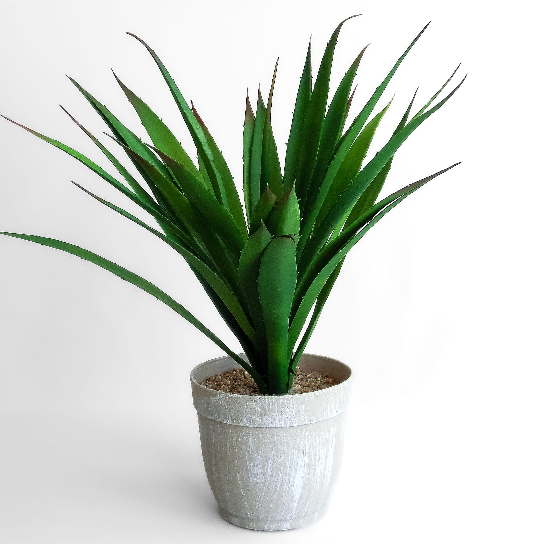 楽天市場】アガベ（サイズ（植木鉢）4 ～ 6号）（人工観葉植物｜造花