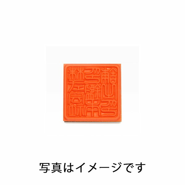 スキナスタンプS2020用ゴム印面のみ(印面：20x20mm)[SukinaStamp]