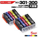 送料無料 Ecoink10 交換用インクボディ2セット BCI-301+300 / 5MP 大容量 5色セット 交換用 【この商品だけでは使用できません】 キャ...