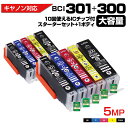 BCI-301+300 5MP 大容量 5色セット Ecoink10 スターターセット+交換用1セット ICチップが10回使える 再利用 キャノン Canon ...