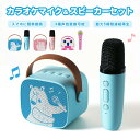 Skynew カラオケマイク&スピーカーセット