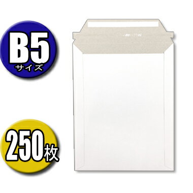 封筒 メール便 B5サイズ 高さ29CM×幅22,5CM 250枚入 メール便 クロネコDM便 ネコポス クリックポスト ゆうパケット ポスパケット ゆうメール...