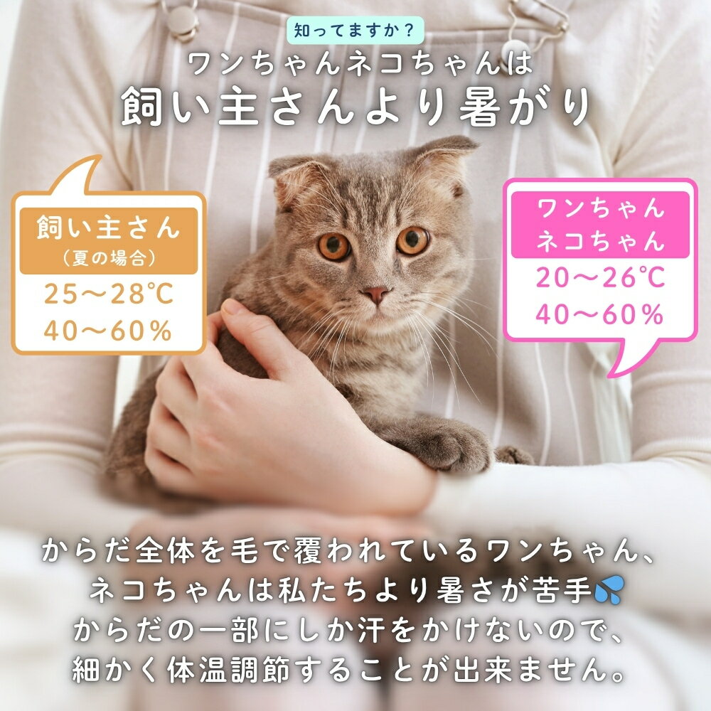 ドリテック ちょうどイイがわかる ペット専用温湿度計 O-443DBRPT O-444DBEPT メール便対応 温湿度計 デジタル 壁掛け 熱中症 ペット 犬 猫 かわいい スタンド 体調管理 [2]