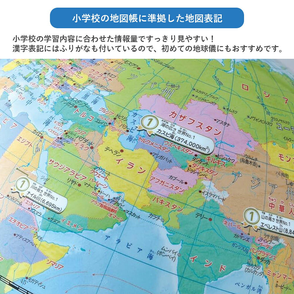 レイメイ藤井 先生おすすめ 小学生の地球儀（行政タイプ） OYV11 地球儀スケール ...