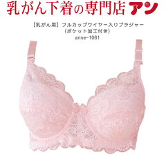 https://thumbnail.image.rakuten.co.jp/@0_mall/inner-anne/cabinet/00724255/kirinuki/1061_k_pi_500.jpg