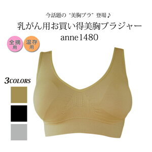 【乳がん用】【シームレス美胸ブラジャー】★ぴったりフィットタイプ★乳がん 温存 全摘 再建 術後 背中すっきり 美胸ブラジャー＜anne1480＞