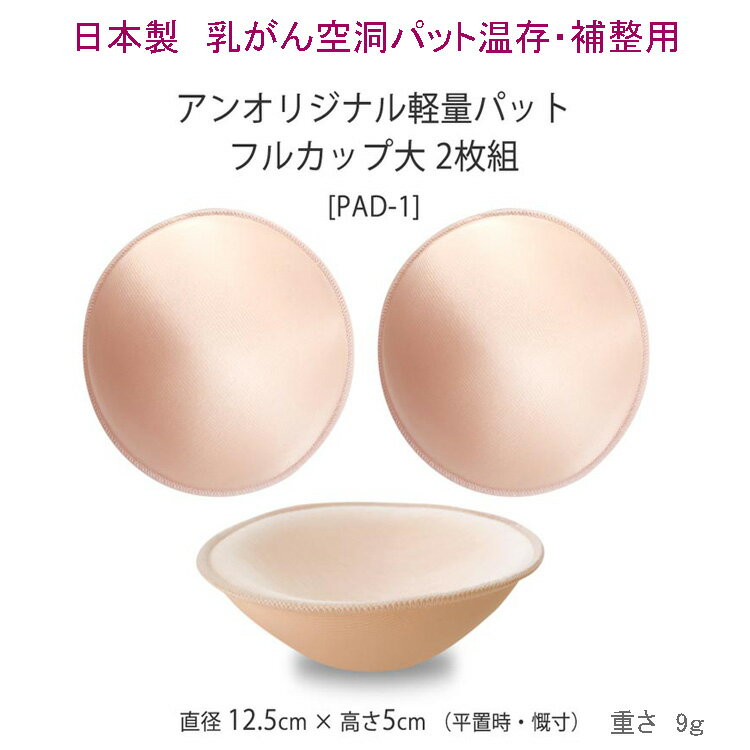 【乳がんパット専用カバー 全摘術専用】 乳がん用 パッド カバー 人工乳房 シリコンバスト ボディメイク バスト補正 肩こり 腰痛 解消 【カバー単体 パッドは付いておりません】（乳がん専用カバー）