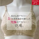 乳がんブラ 大きなサイズ90～95 乳がん用 手縫い 後加工 パッド入れ付きブラジャー フルカップ アンダーメッシュ ノンワイヤー カップ たっぷり 乳ガン 乳癌 術後 全摘 温存