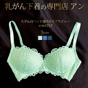 【乳がん用パット受け付きブラジャー】【菱形パット1個プレゼント】乳ガン 高級 レース 乳癌 術後 全摘 温存【後ろ留めタイプ】<anne-1717>