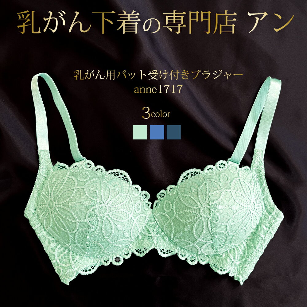 ѥѥåȼդ֥饸㡼1717