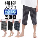 楊柳 ステテコ メンズ 綿 100% 夏 部屋着 夏用 7分丈 パジャマ 前開き 送料無料 M L LL おしゃれ 春 前あき 七分丈 父の日 ギフト プレゼン...