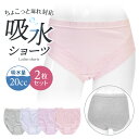 【クーポンで500円OFF!】日本製防水布使用 レディース ちょい漏れ パンツ 2枚セット 失禁パンツ 吸水量20cc 綿100% 女性用 吸水 失禁ショーツ ...