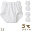 メンズ GUNZE 快適工房 スパンブリーフ KH5032 5枚組 送料無料 セット LL 大きいサイズ グンゼ 前あき 介護 無地 下着 パンツ ブリーフ 男...