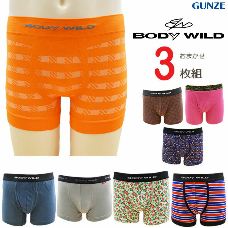 メンズ ボクサーパンツ BODY WILD アソート 3枚組 送料無料 おまかせ セット M L LL グンゼ gunze 下着 紳士 男性用 ボディワイルド パンツ 春 夏 秋 冬(01931)