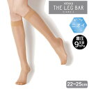 XgbLO Ђ ATSUGI THE LEG BAR CARE+ fIhg  Ђ FS4091 Pi atsugi GXgbLO ЂXgbLO `ɂ pXg   XgbLO AcM ܐ⋭ R hL ÓdCh~ zH r bOo[i03651j