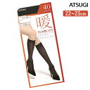 Ђ ^Cc fB[X ASTIGU g 40fj[ Ђ FS5141 Pi 炩M^Cc AcM ^Cc atsugi  M ^Cc Ђ 40fj[i04099j