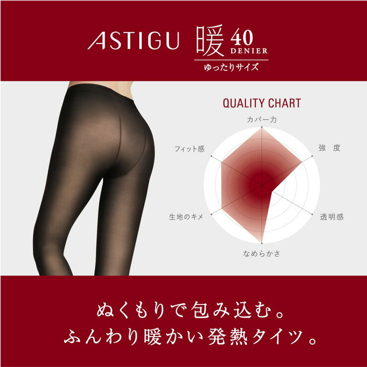 タイツ レディース アツギ アスティーグ 暖 40デニール ゆったり AP1149 3足組 送料無料 アツギタイツ 発熱 あったか 暖かい 透け感 シアータイツ astigu atsugi 静電気防止 消臭 後ろマチ 大きいサイズ ゆったりサイズ まとめ買い 3足（06499）
