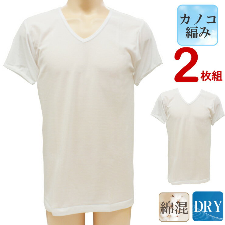 インナー メンズ 新栄 DRYカノコ 半袖V首 13-017 2枚組 送料無料 吸汗速乾 綿混 肌着 鹿の子 シャツ 薄地 涼しい 夏 まとめ買い (02989)