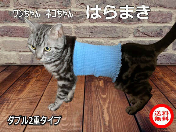 シンプルな 犬 の服 犬 の アクセサリー 猫 の ベルト 付き ノースリーブ 頑丈 夏 XS-XXL