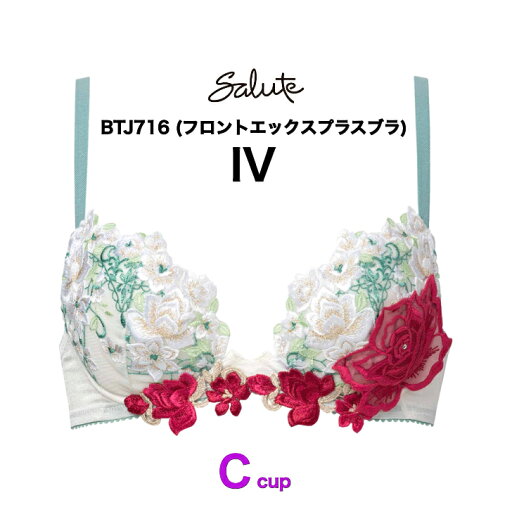 ワコール サルート Salute 16グループ 3/4カップ ブラジャー 谷間 フロントエックスプラスブラ Cカップ BTJ716 ワコール サルート Salute 16グループ 3/4カップ ブラジャー 谷間 フロントエックスプラスブラ Cカップ BTJ716