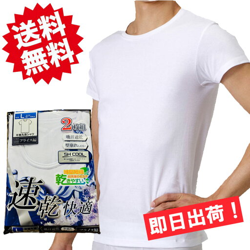 ★送料無料★【2枚セット~】【吸汗速乾 SH COOL】半袖丸首シャツ 速乾繊維 クルーネックTシャツ 5119大きいサイズも!フライス編 乾きやすい メンズ クルーネックシャツ 肌着 下着【2枚セットはメール便!日時指定不可!代引不可!ギフト包装不可!】 ★送料無料★【2枚セット~】【吸汗速乾 SH COOL】半袖丸首シャツ 速乾繊維 クルーネックTシャツ 5119大きいサイズも!フライス編 乾きやすい メンズ クルーネックシャツ 肌着 下着【2枚セットはメール便!日時指定不可!代引不可!ギフト包装不可!】